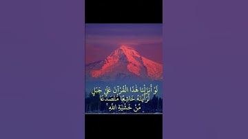 #سورة الحشر #ماهر_المعيقلي #اكسبلور # like  #short #quran #islam #love