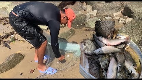 Theo Chân Ngư Dân Đề Gi Đi Chài Lưới | Khung Cảnh Cửa Biển Tuyệt Đẹp Và Cuộc Sống Mưu Sinh