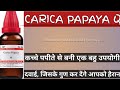 CARICA PAPAYA Q ll Uses & Benefits in Hindi ll#Homoeopathicvines
