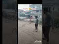Dogs vs Man Fight Funny || Part 2 || dogs funny video