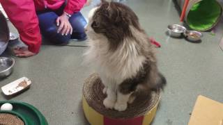 Baby adopted!