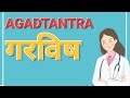 Garavisha || agadtantra || BAMS 2nd year 
