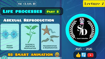 Asexual reproduction | Life Processes in living organism part -2 | SSC MAHARASHTRA | Class 10