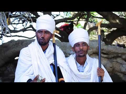 ቪዲዮ: ሦስት የአስተዳደግ ስህተቶች -በልጅ ውስጥ ሁሉን ቻይነትን እንዴት መግደል አይቻልም