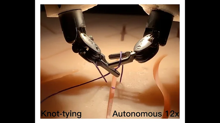 Surgical Robot Transformer Demo