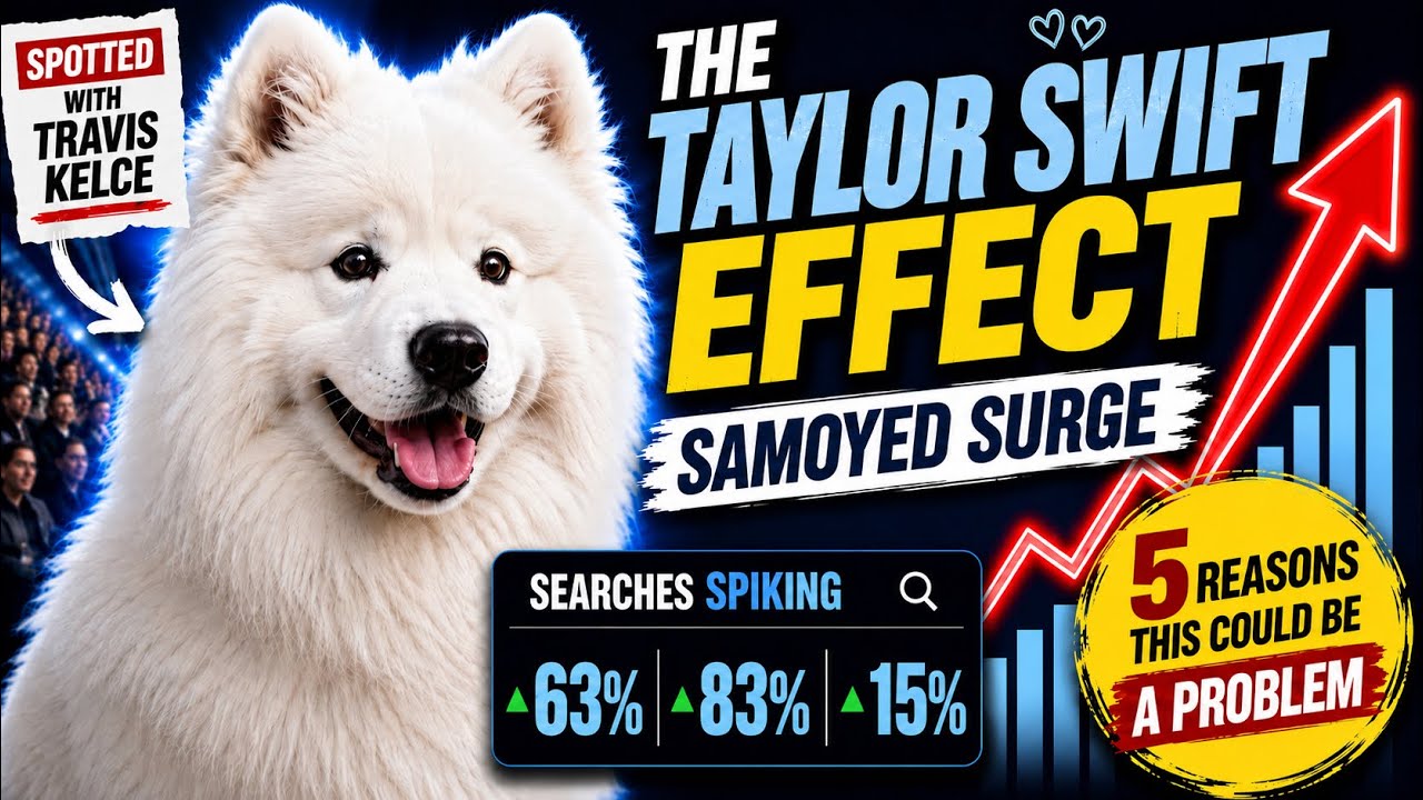 Taylor Swift May Have Just Made the Samoyed Famous | Here’s the Problem