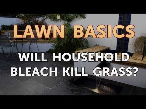 Will Household Bleach Kill Grass?