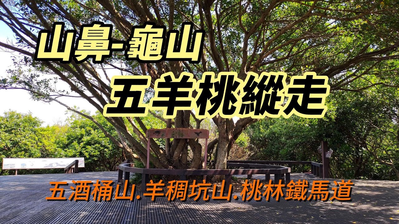 [桃園]五羊桃縱走8連峰|山鼻到龜山
