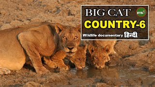 The Next Dynasty - Big Cat Country [2024] हिन्दी डॉक्यूमेंट्री _ Wildlife documentary in Hindi