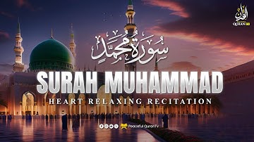 BEST SURAH MUHAMMAD سورة محمد | THIS WILL TOUCH YOUR HEART إن شاء الله | Peaceful Quran TV