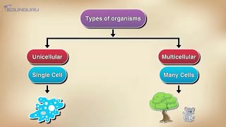 Class 8th Biology (CELL STRUCTURE) DEMO VIDEO