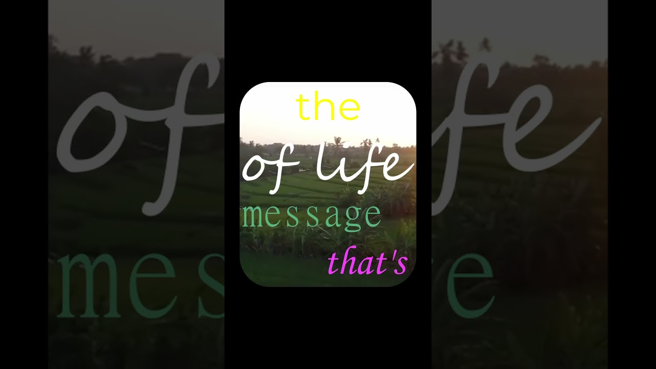 The message of life 😌