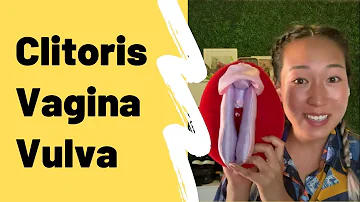 Anatomy of the Clitoris, Vagina, and Vulva (and More!)