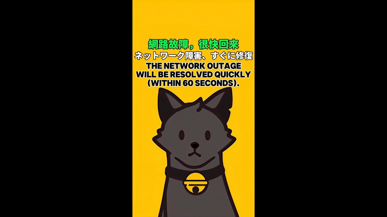 A Cat's First-Person Perspective｜猫の一人称視点｜ 2026-03-04 08:43:16