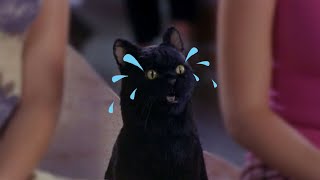 Salem Cries...A Lot!