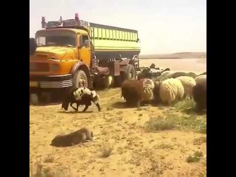 قمت اتذكر زمان فات