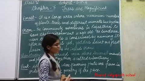 class 5 EVS ch 7 trees are magnificent