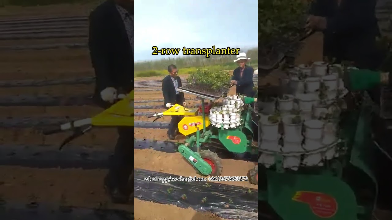 Self-propelled transplanter for 2-row chili seedlings planting: how does manual transplanter work?