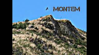 Montem - Im Doing All Right