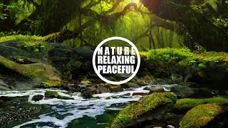 The Nature Scenery and Nice Relaxing Peaceful |Soothing Music,Bird Sounds,Water Sound,Color Relaxing