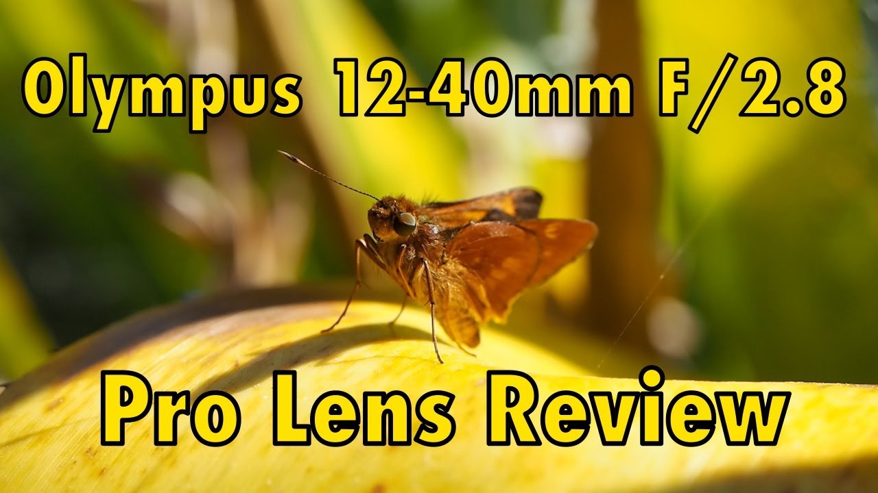 Olympus 12 40mm F 2 8 Pro Lens Review Youtube