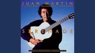 Video thumbnail of "Juan Martín - Love Theme From The Thorn Birds"