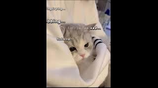 SANG PENGGODA COVER FADHILAH INTAN (SPEED UP PICTH)