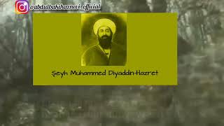 Nakşibendi Şeyhi Muhammed Diyauddin'den Tövbe Alan Sofi - Anlamlı Dini Hikayeler - #Nakşibendi