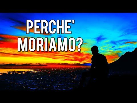 Video: Cosa causa la morte fetale?