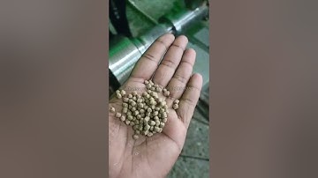 Feedback video of floating fish feed extruder machine in Africa #fishfeedmachine #fishfarming