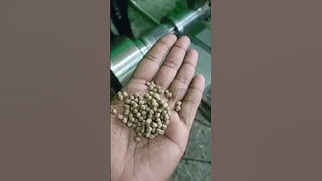 Feedback video of floating fish feed extruder machine in Africa #fishfeedmachine #fishfarming