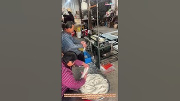 The Art of Handmade Fungusian Noodles