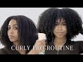 Curly Fro Routine for Low Porosity Hair