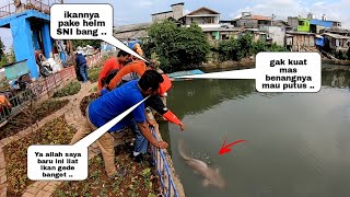 Mengerikan ..!! Akhirnya Tertangkap Juga ikan Berusia Puluhan Tahun Penghuni Waduk Pluit