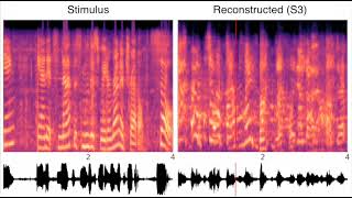 Sound reconstruction from human brain activity (Park et al., 2023), short version