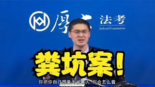 【罗翔】粪坑案！劳资给你一砖！