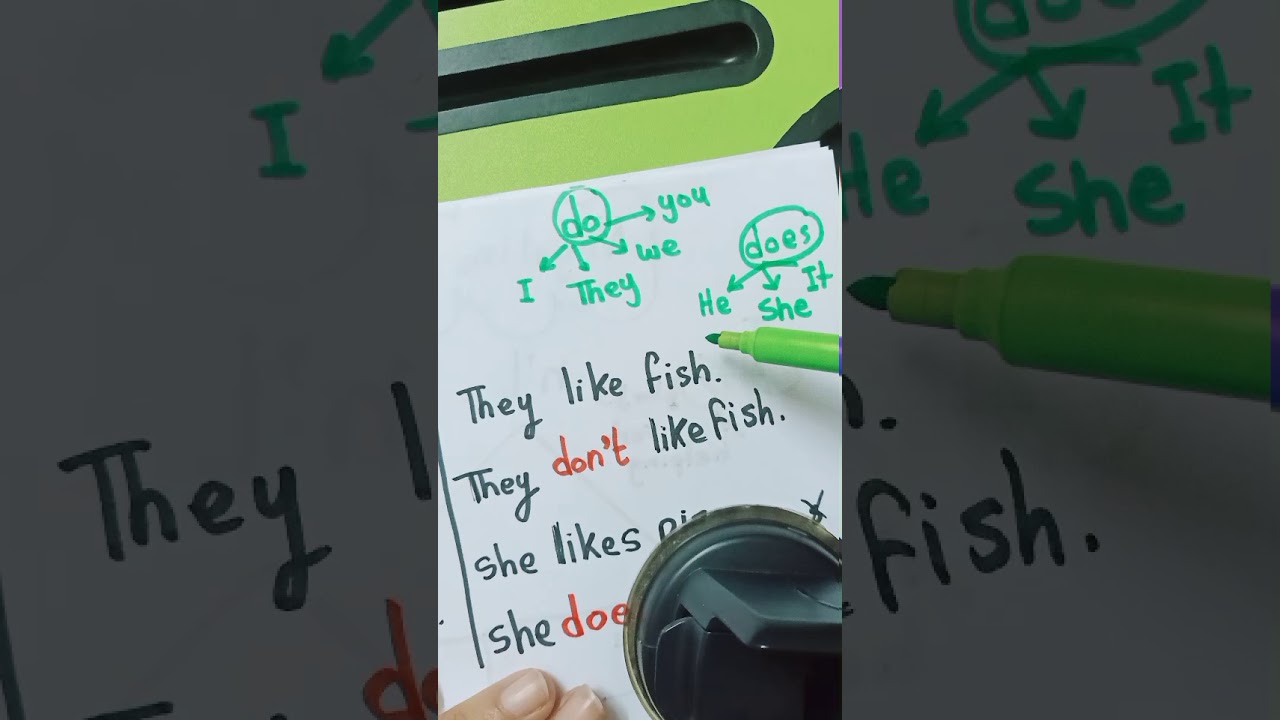 تعالوا نتعلم ازاى نستخدم n't اللى بتنط 😂😂 مع #مس_أمنيه