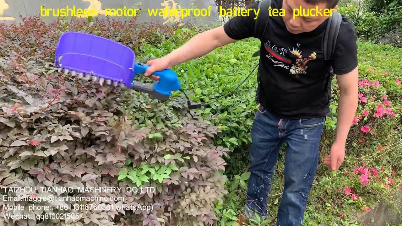 mini battery tea plucking machine