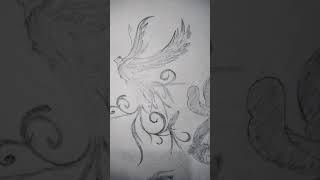 Bird sketch | pencil sketch #shorts