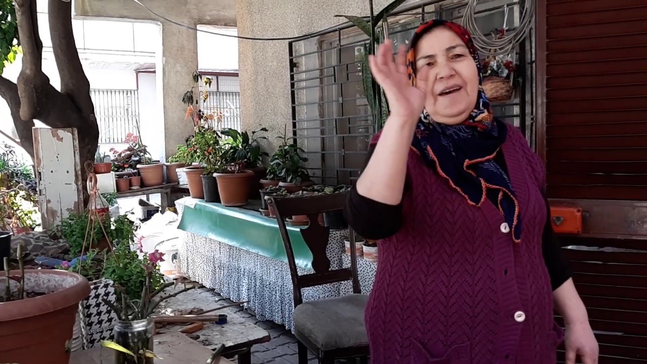 BEGONYA BUDAMA 🌱🍃 BEGONYA ÇOĞALTMA 🌱🍃 BEGONYA BAKIMI HAKKINDA HERŞEY