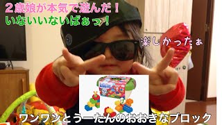 【赤ちゃん知育おもちゃ】いないいないばぁっ！ワンワンとうーたんのブロックで遊んでみた2歳娘〜おもちゃレビュー〜 screenshot 4