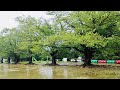 Chiba Urban Walk in Heavy Rain and Thunderstorm For Sleep - ASMR Ambience Sounds - TABETAI たべたい