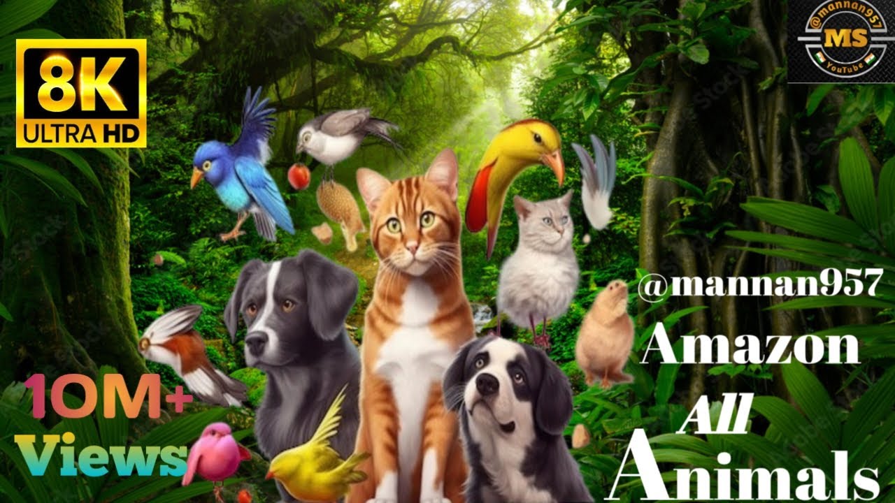 Animal Video.HD.Dog And Cat And All Bird.now popular YouTube Video 🐕🕊️🐈