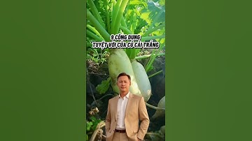 9 CÔNG DỤNG TUYỆT VỜI CỦA CỦ CẢI TRẮNG #huuphuocdroppii