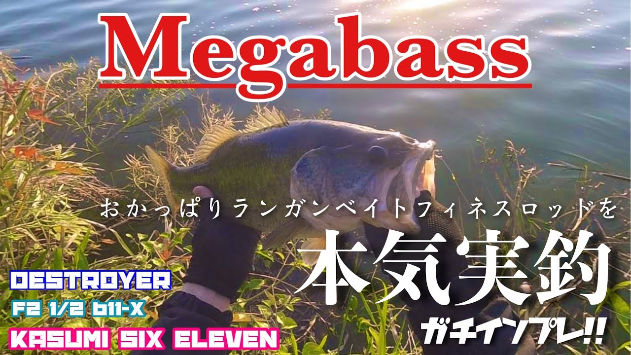 maxresdefault.jpg