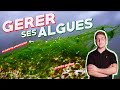 CONTRÔLER SES ALGUES ET S'EN DÉBARRASSER (en aquarium biotope)