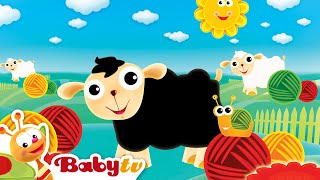 Bee Bee Ovejita Negra 🐑  | Rimas infantiles y canciones infantiles🎵 @BabyTVSP