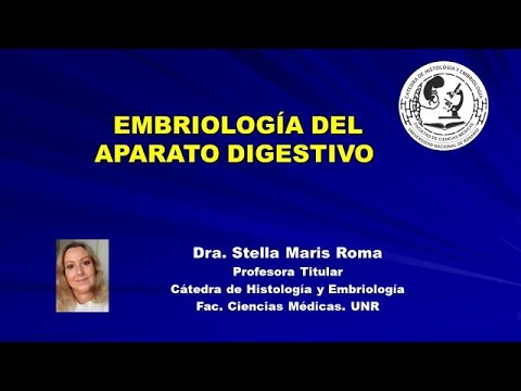 Embriología del aparato digestivo