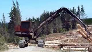 Log Loader Barko 495