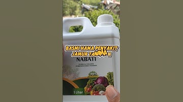 Pestisida nabati, pestisida pembasmi hama jamu pada tanaman